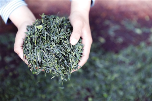 星巴克 從咖啡到茶園的跨界探索與生活美學(xué)