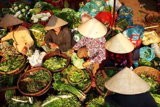 悠享越南河內下龍雙飛五日游 從自然奇觀到初級農產品的多彩之旅